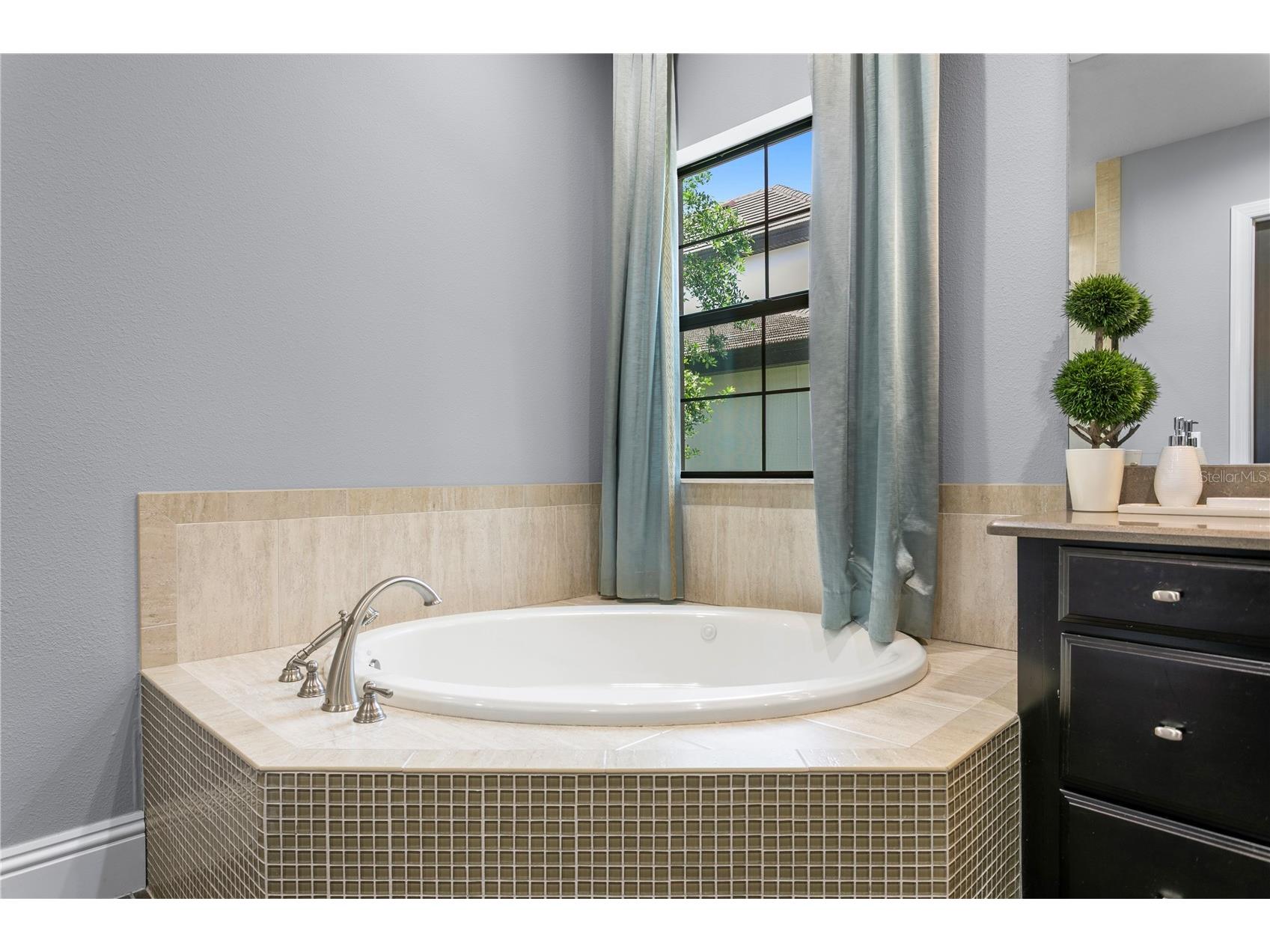 15306 Fishhawk Preserve Drive Lithia FL 33547 TB8523589 image33