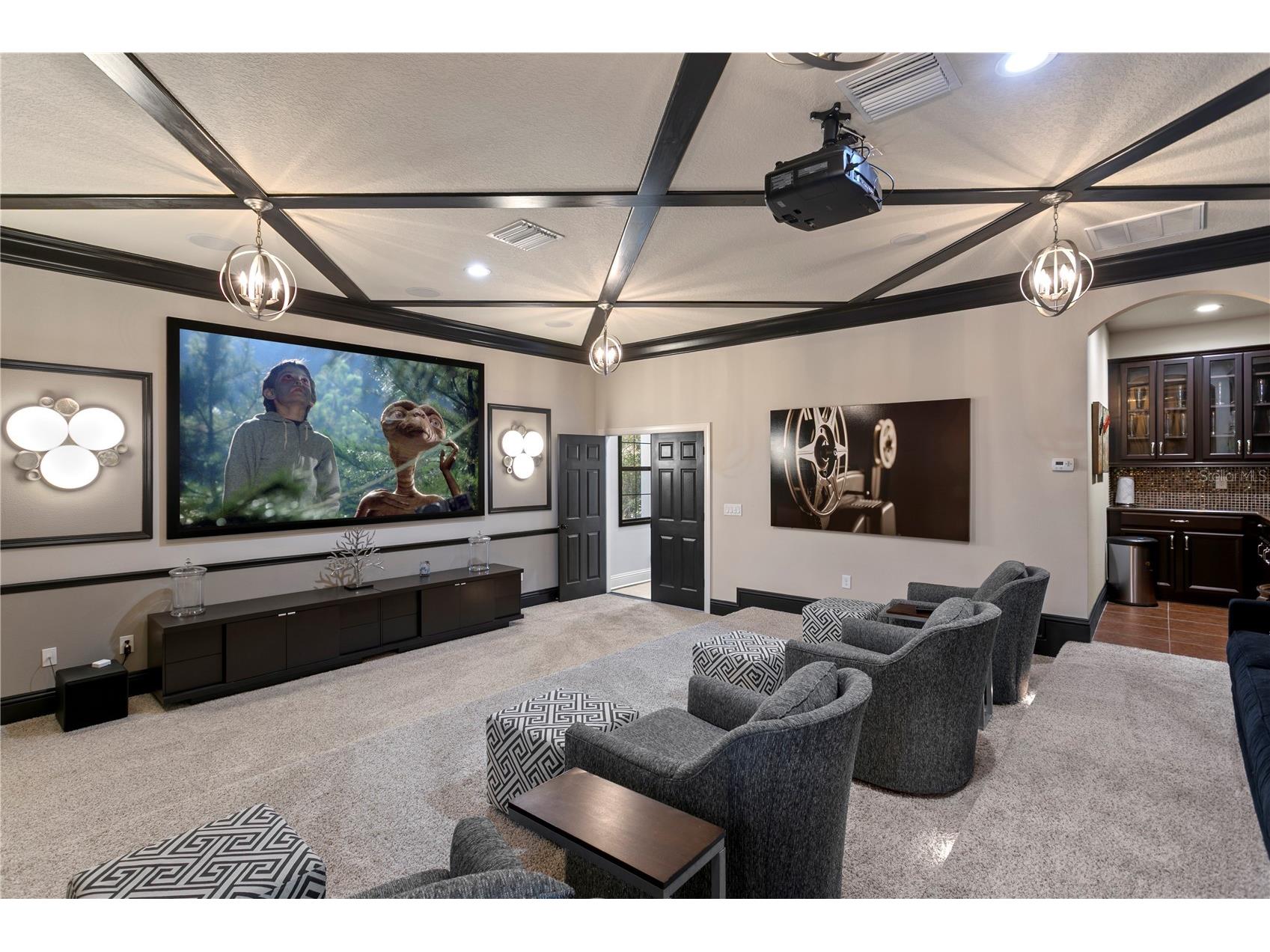 15306 Fishhawk Preserve Drive Lithia FL 33547 TB8523589 image38