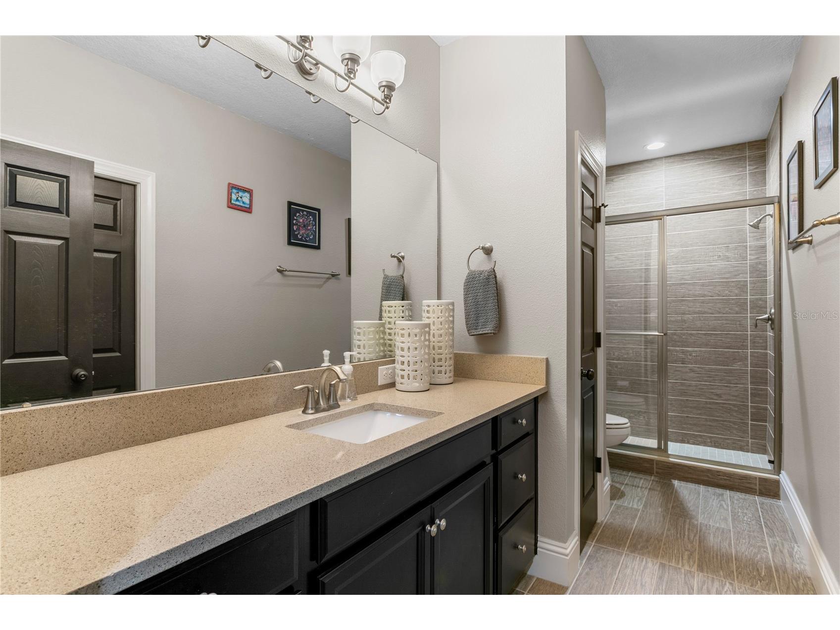 15306 Fishhawk Preserve Drive Lithia FL 33547 TB8523589 image46