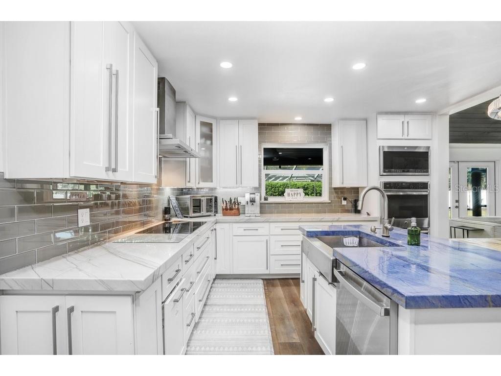 15306 Lake Maurine Drive Odessa FL 33556 TB8505805 image11