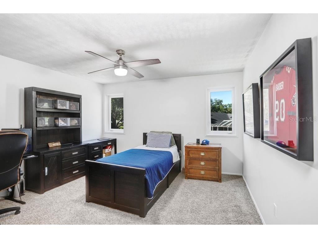 15306 Lake Maurine Drive Odessa FL 33556 TB8505805 image28