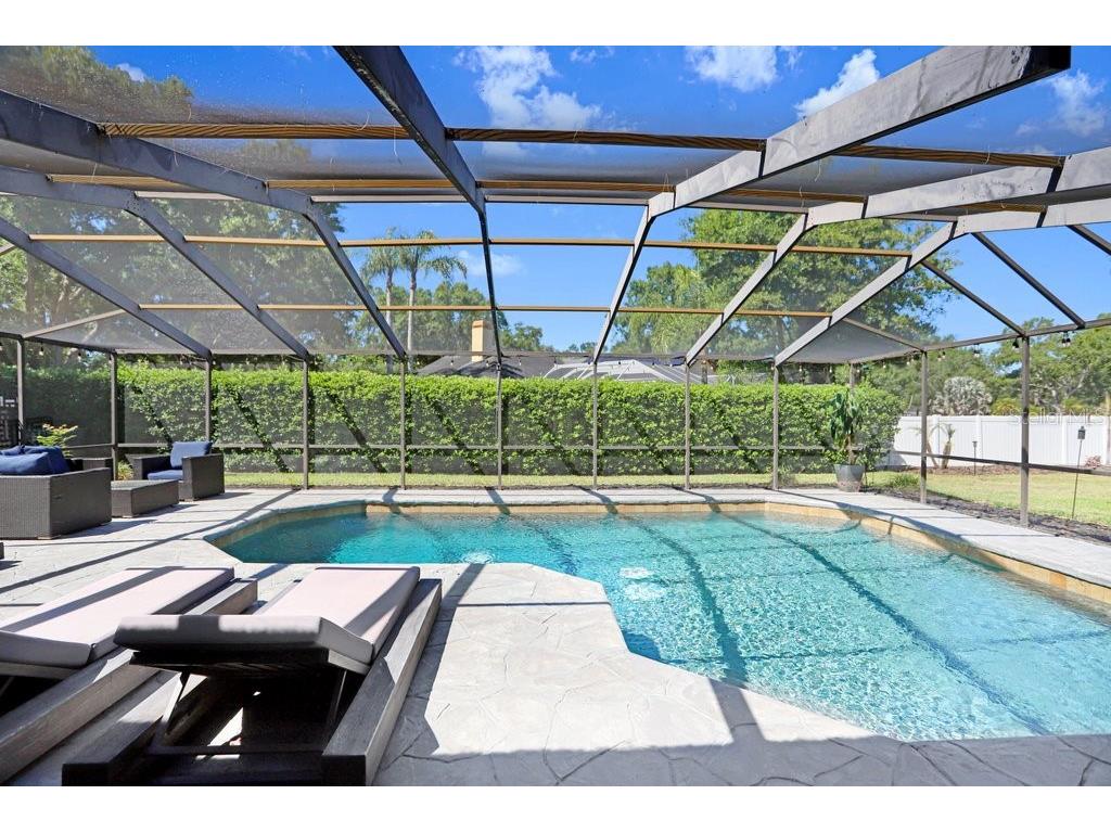 15306 Lake Maurine Drive Odessa FL 33556 TB8505805 image46
