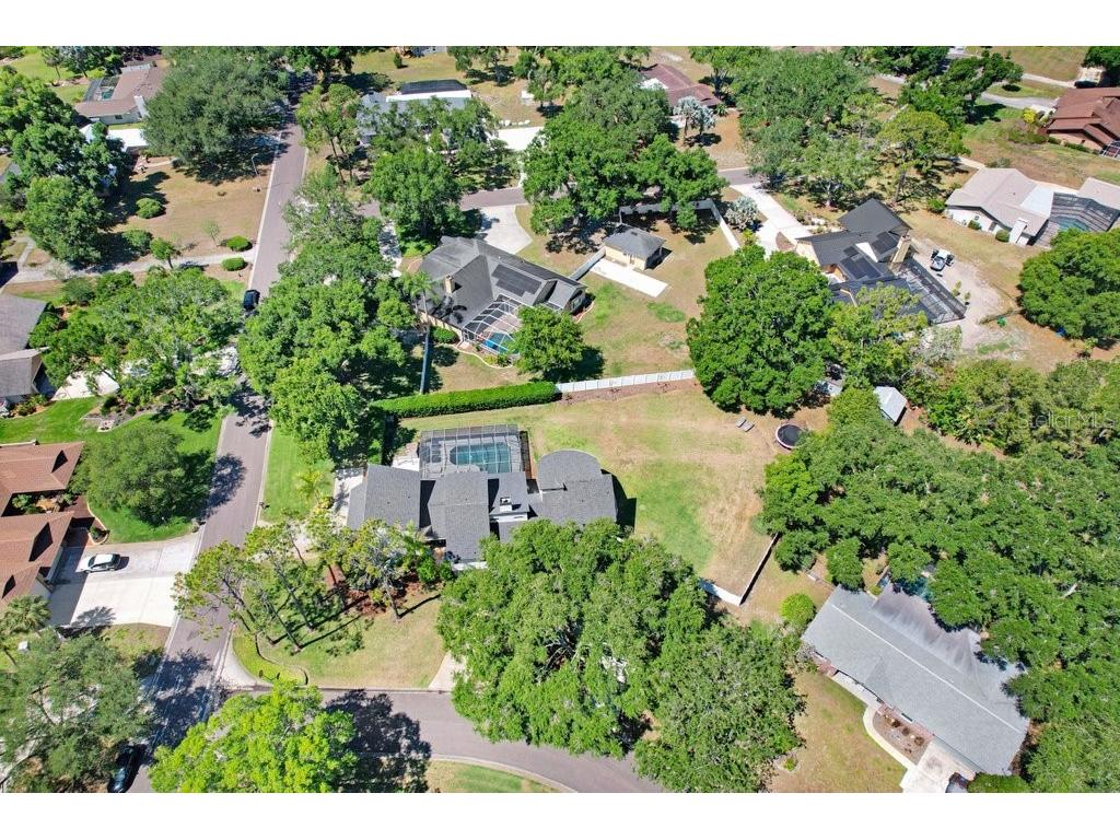 15306 Lake Maurine Drive Odessa FL 33556 TB8505805 image57