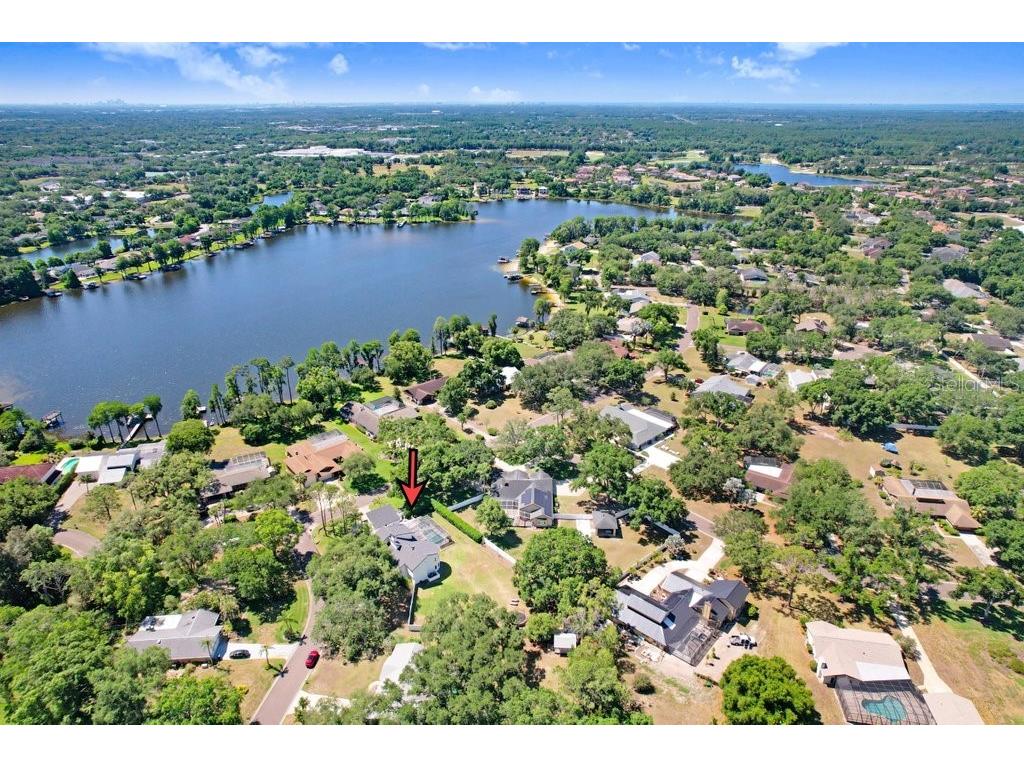 15306 Lake Maurine Drive Odessa FL 33556 TB8505805 image60