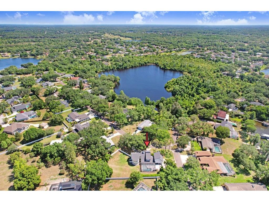 15306 Lake Maurine Drive Odessa FL 33556 TB8505805 image61