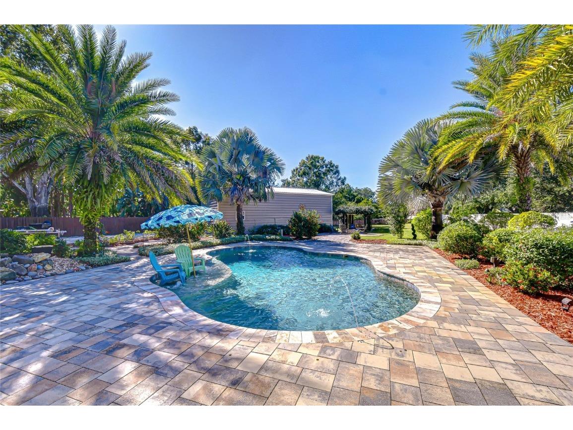 15306 Spruson Street Odessa FL 33556 TB8442677 image17