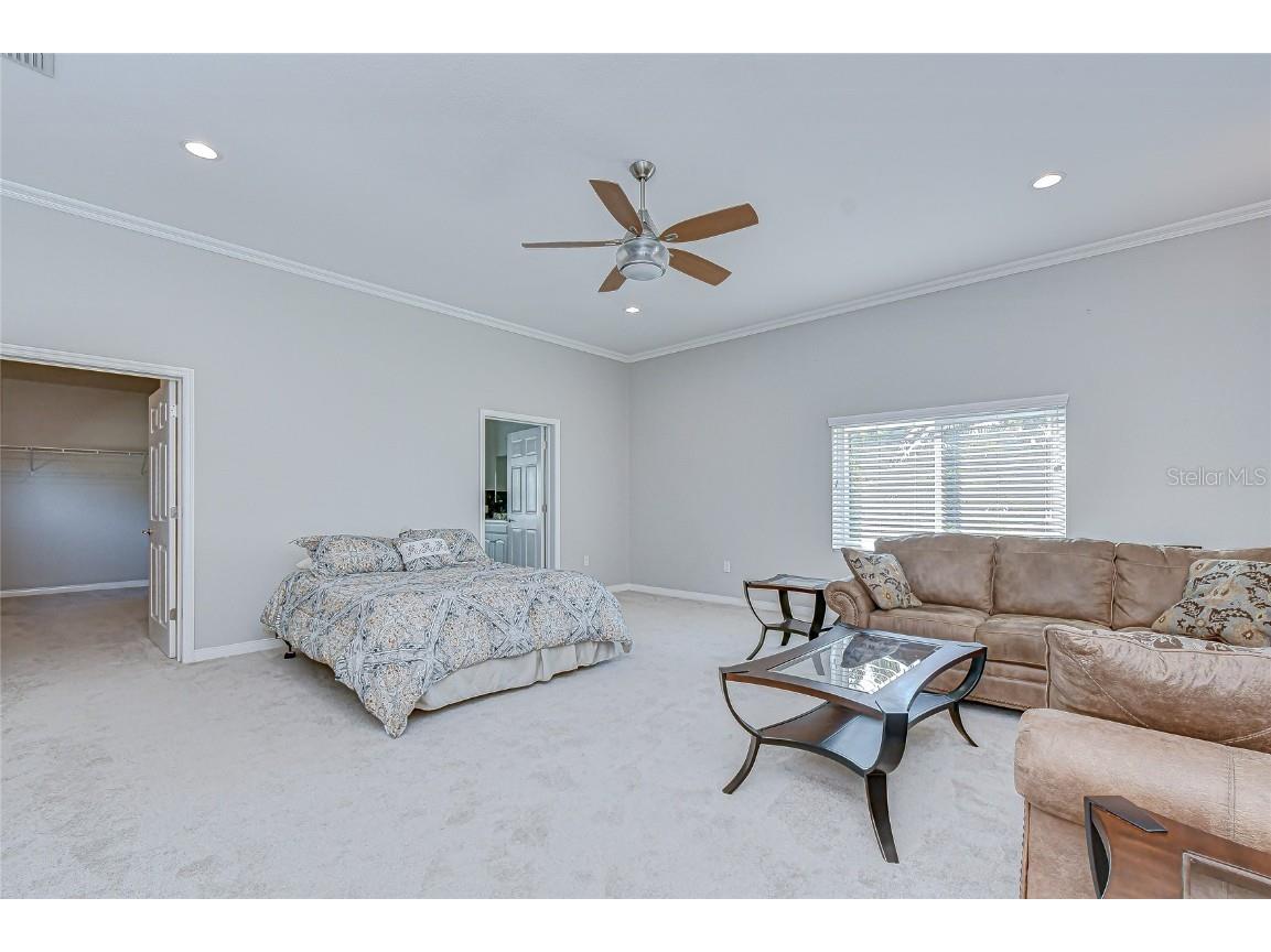 15306 Spruson Street Odessa FL 33556 TB8442677 image46