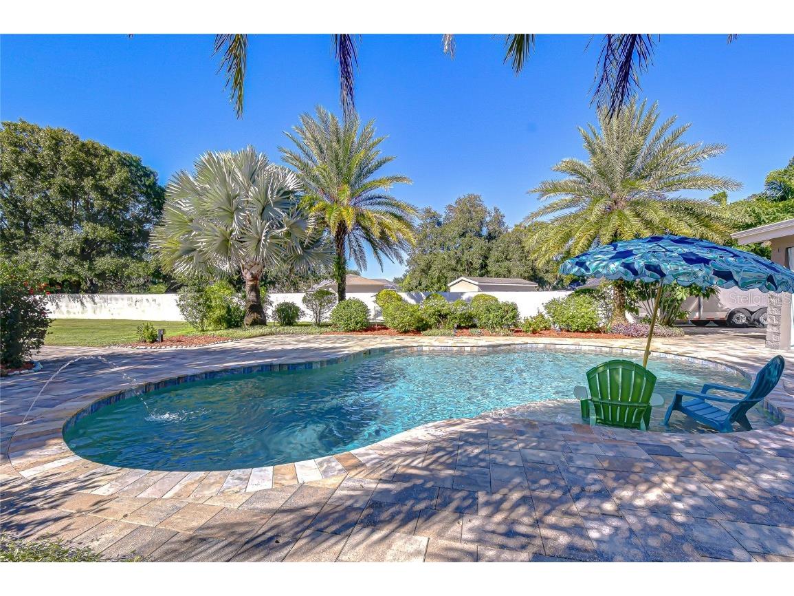 15306 Spruson Street Odessa FL 33556 TB8442677 image53