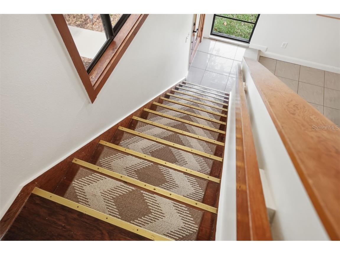 15307 Winterwind Drive Tampa FL 33624 W7880722 image22