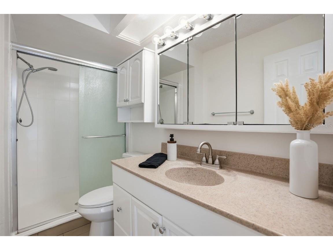 15307 Winterwind Drive Tampa FL 33624 W7880722 image31