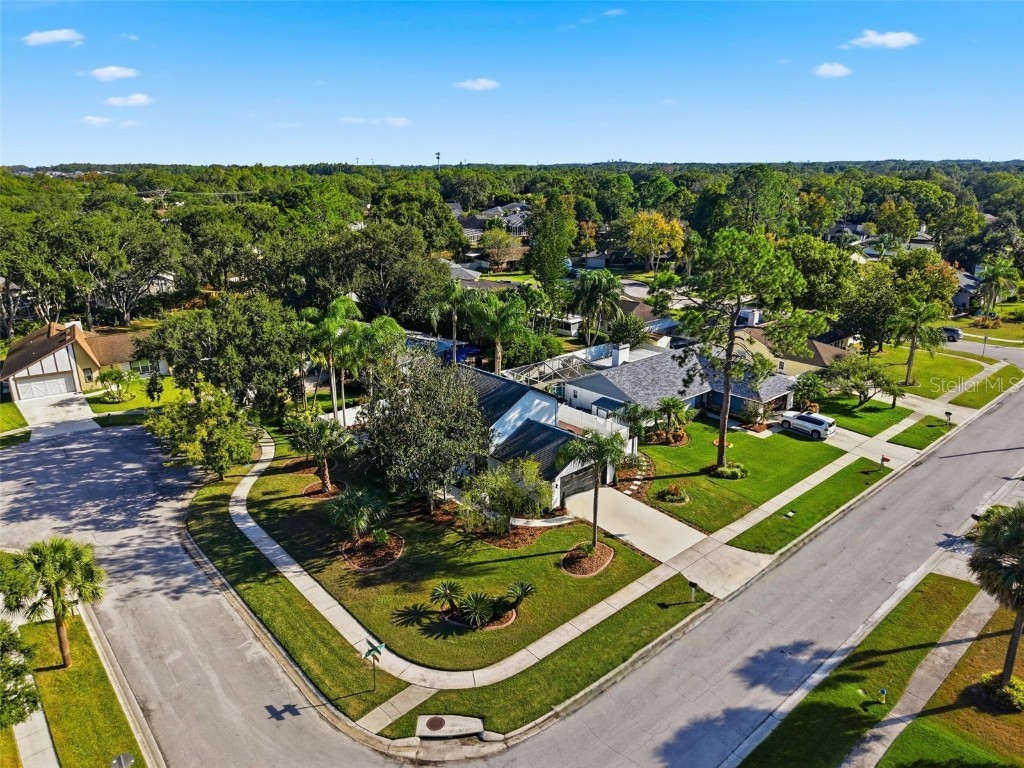 15307 Winterwind Drive Tampa FL 33624 W7880722 image39