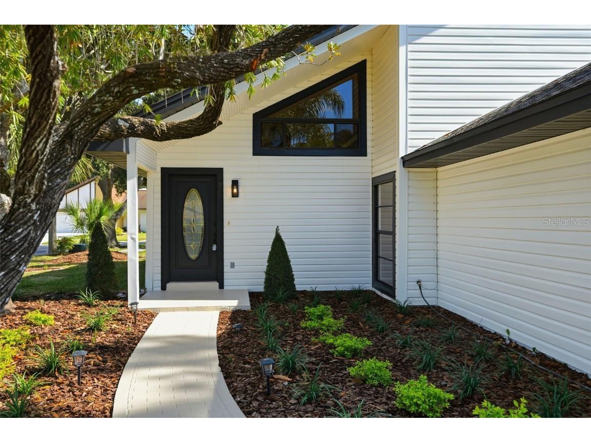 15307 Winterwind Drive Tampa FL 33624 W7880722 image4