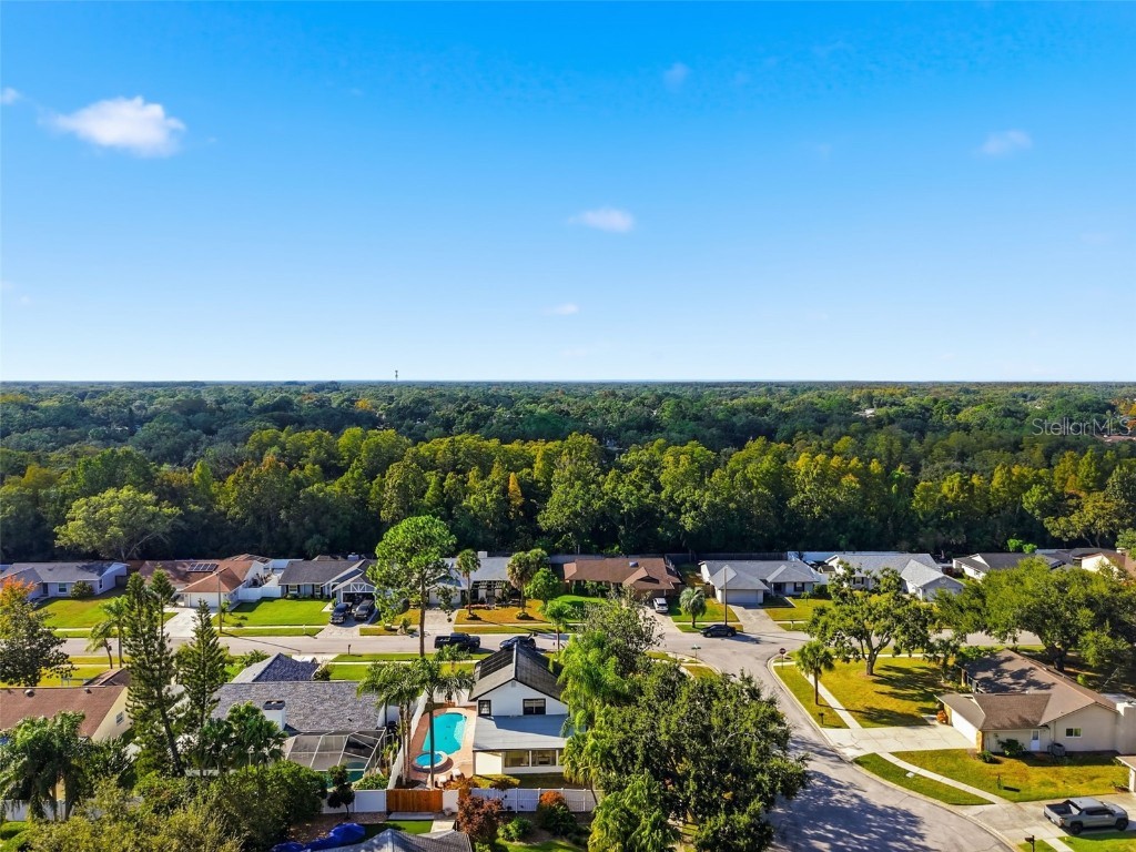 15307 Winterwind Drive Tampa FL 33624 W7880722 image41