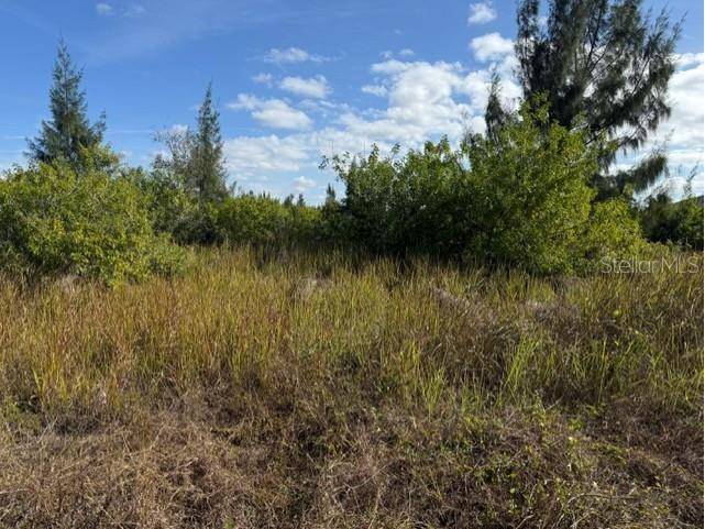 15309 Taurus Circle Port Charlotte FL 33981 C7519167 image12