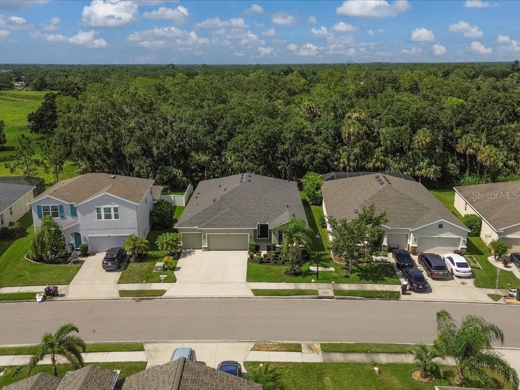 15309 Trinity Fall Way Bradenton FL 34212 A4659670 image1