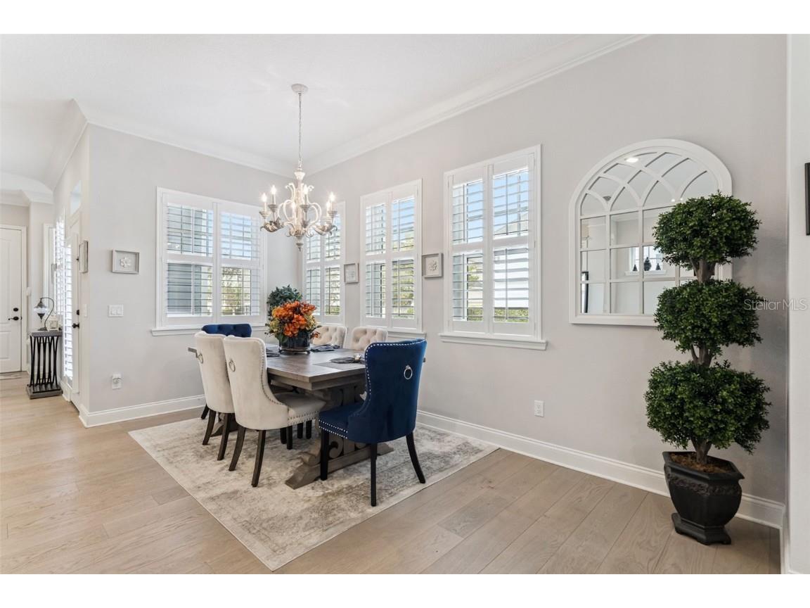 1531 Castile Street Celebration FL 34747 O6356228 image16