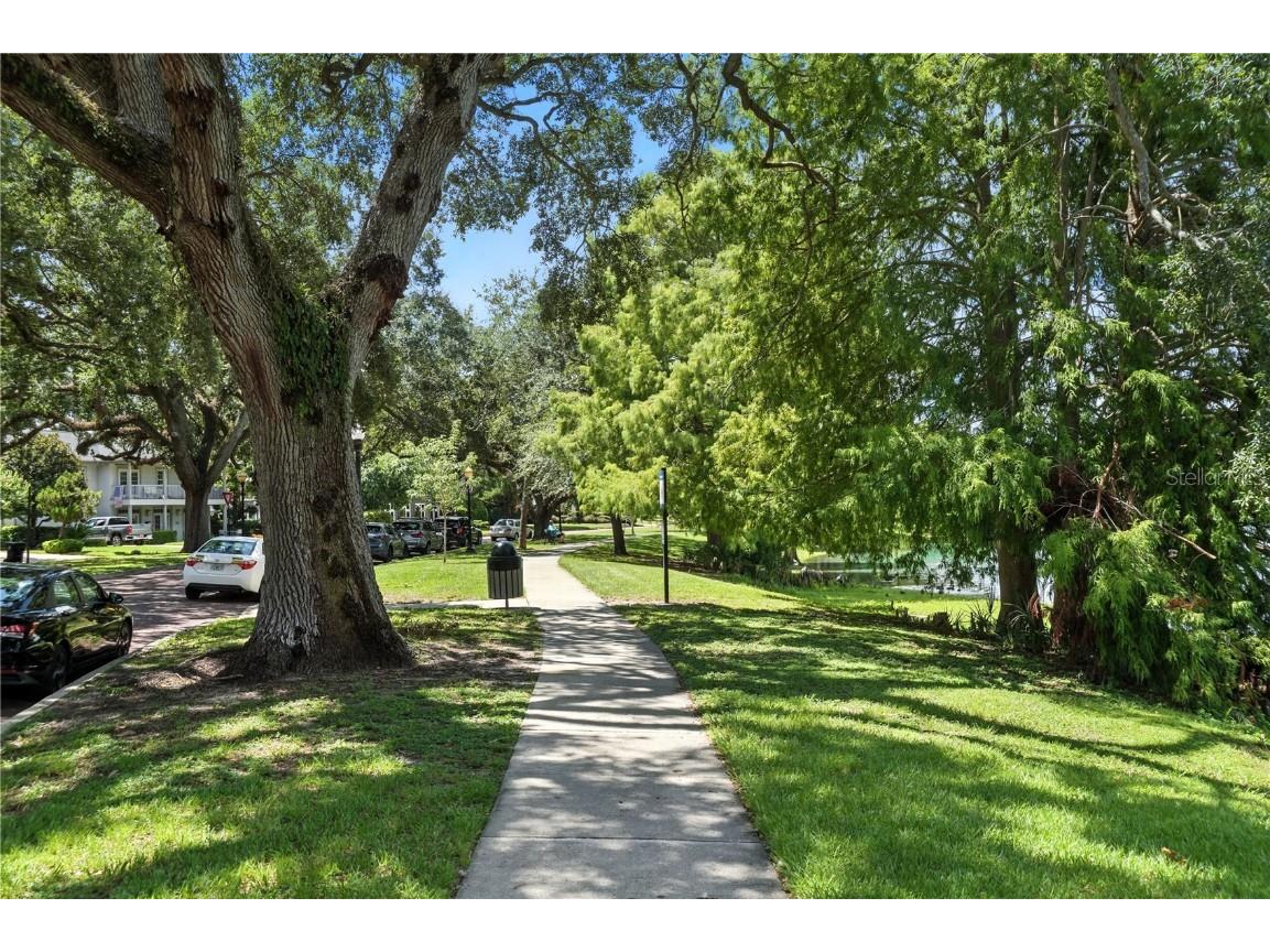 1531 Catherine Street #34 Orlando FL 32801 O6335064 image27