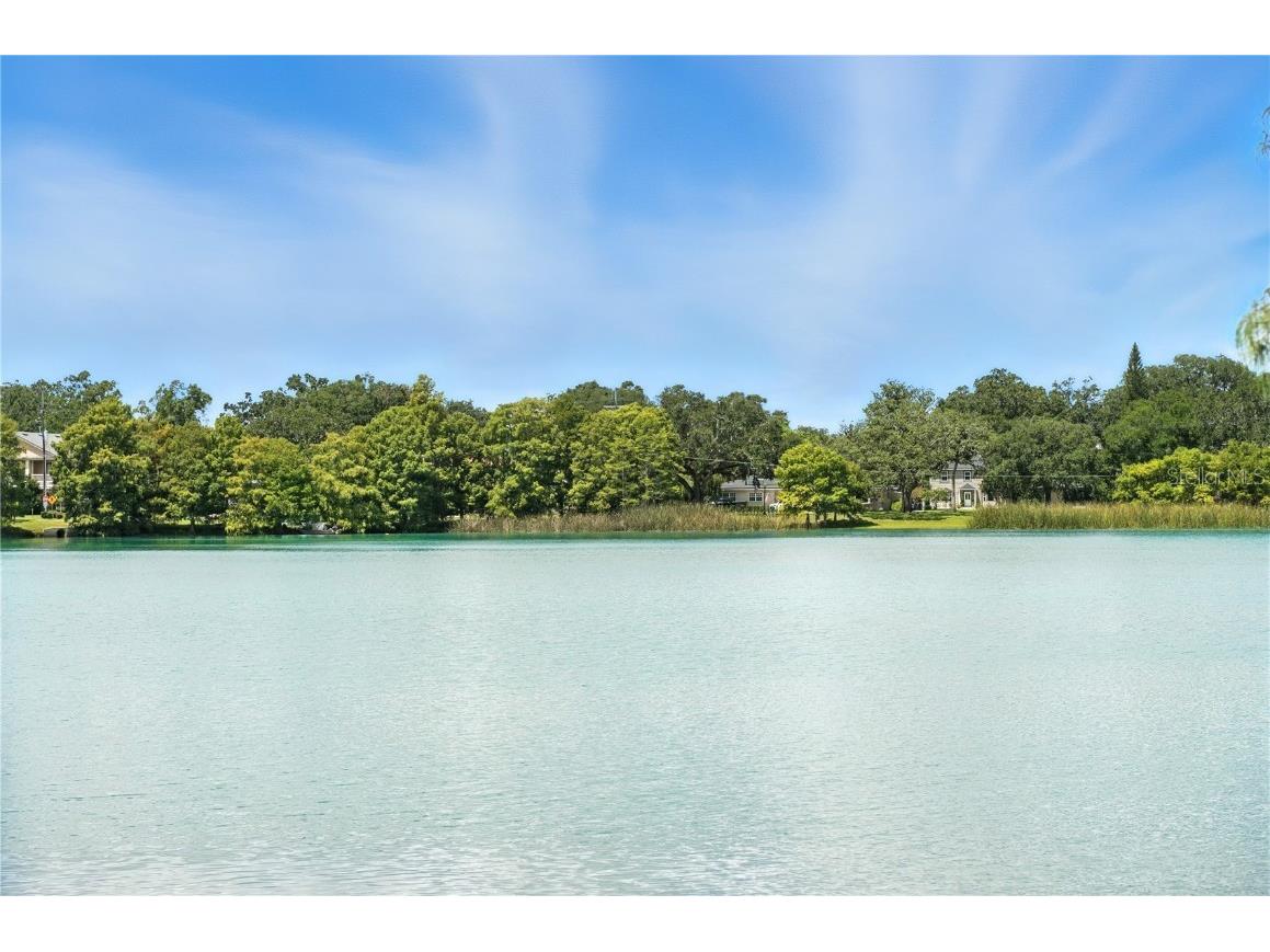 1531 Catherine Street #34 Orlando FL 32801 O6335064 image28