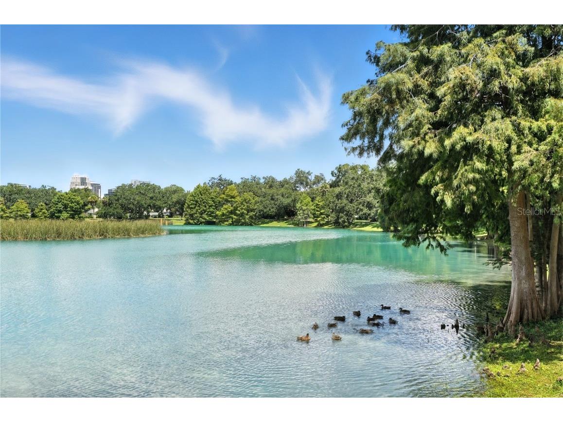 1531 Catherine Street #34 Orlando FL 32801 O6335064 image30