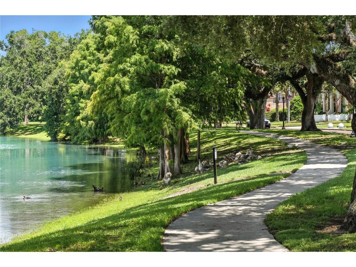 1531 Catherine Street #34 Orlando FL 32801 O6335064 image6