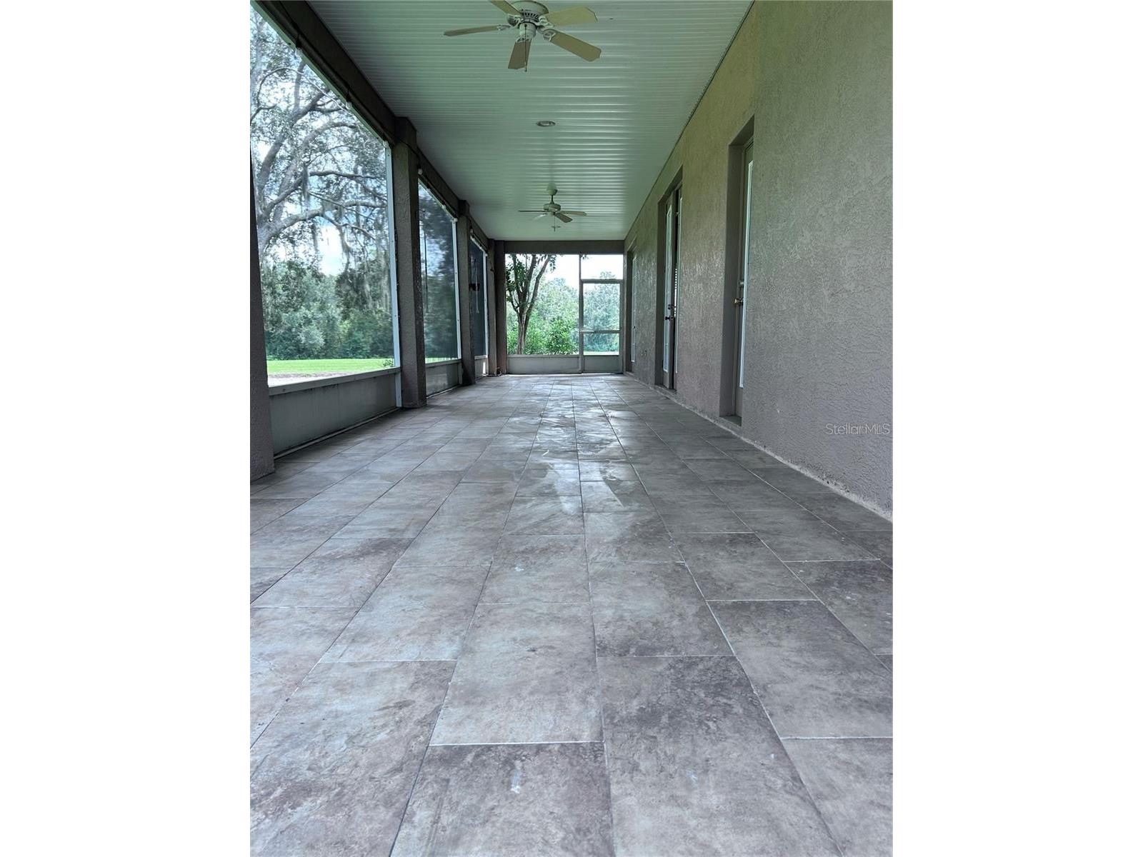 1531 Mccrea Drive Lutz FL 33549 TB8518541 image17