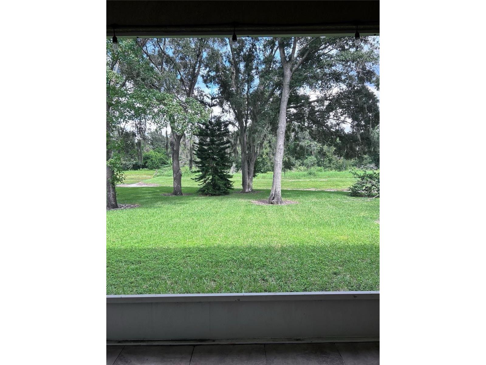 1531 Mccrea Drive Lutz FL 33549 TB8518541 image18