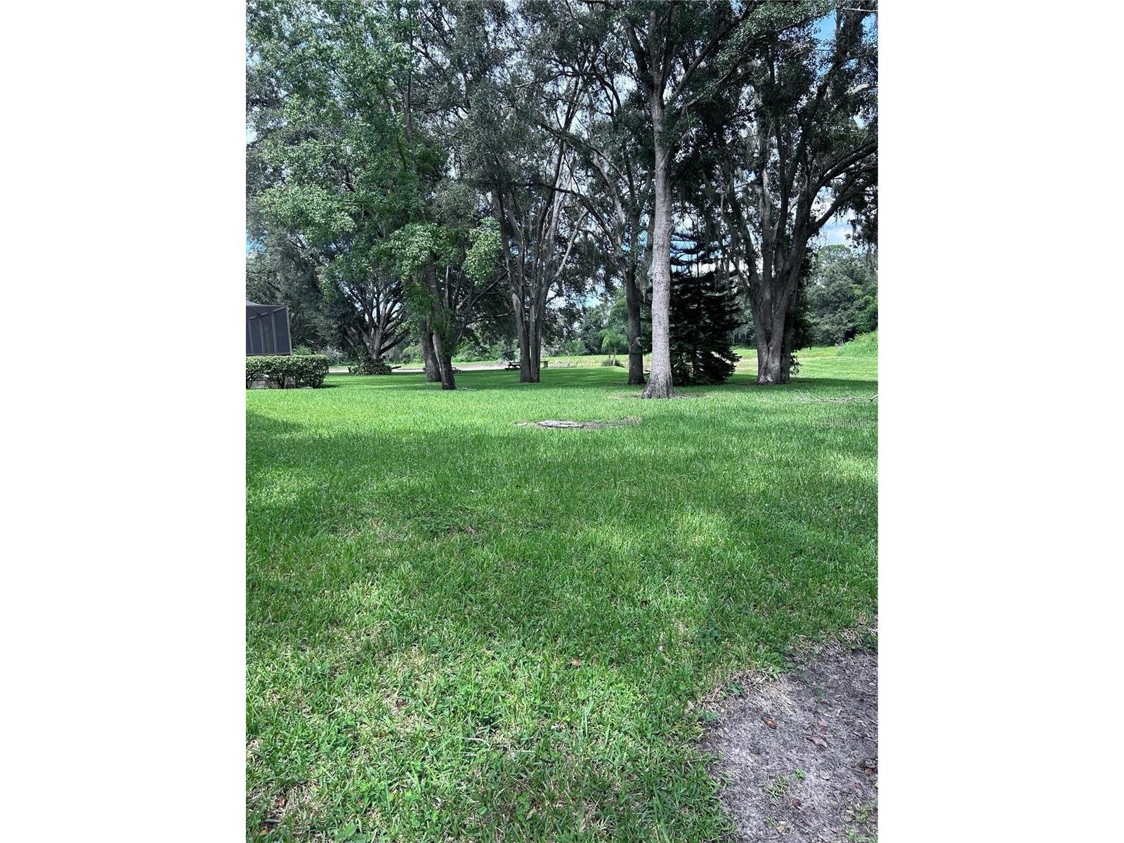 1531 Mccrea Drive Lutz FL 33549 TB8518541 image19