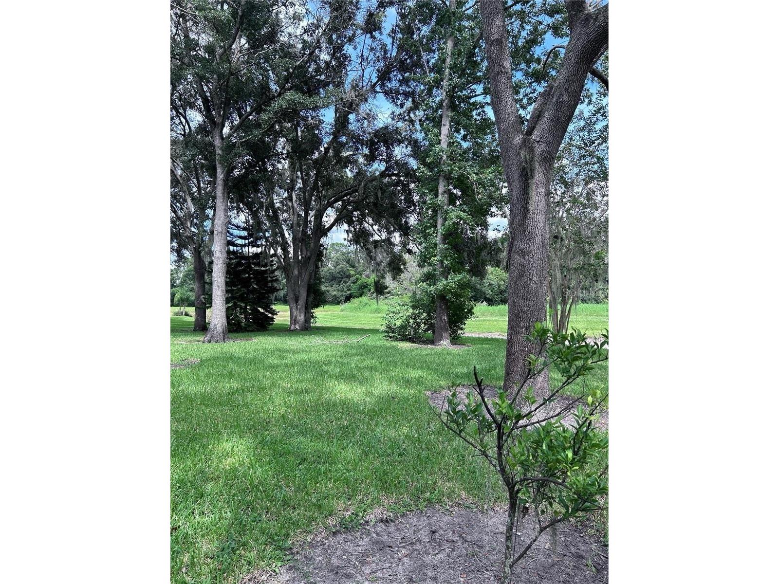 1531 Mccrea Drive Lutz FL 33549 TB8518541 image20