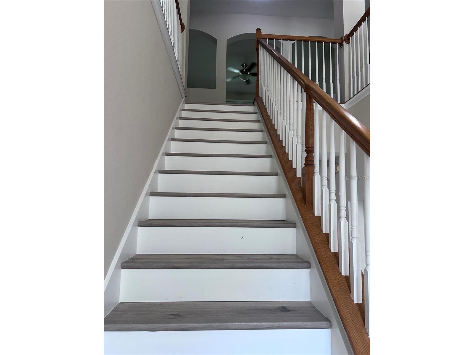 1531 Mccrea Drive Lutz FL 33549 TB8518541 image23
