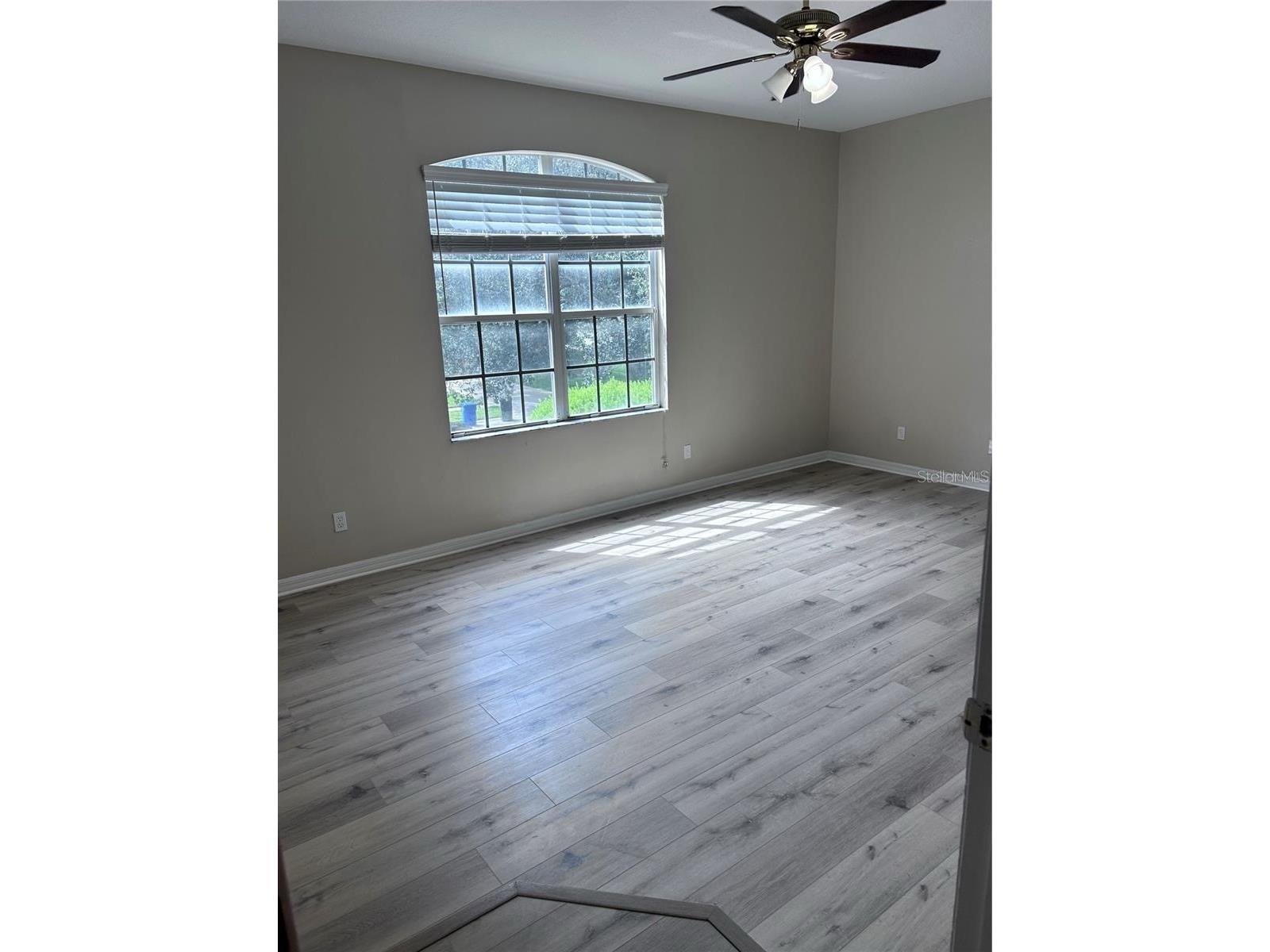 1531 Mccrea Drive Lutz FL 33549 TB8518541 image24