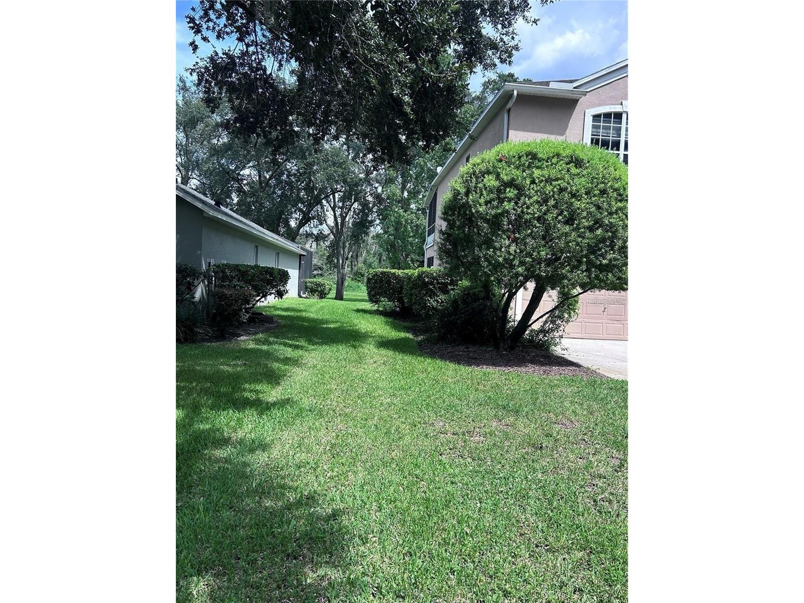 1531 Mccrea Drive Lutz FL 33549 TB8518541 image4