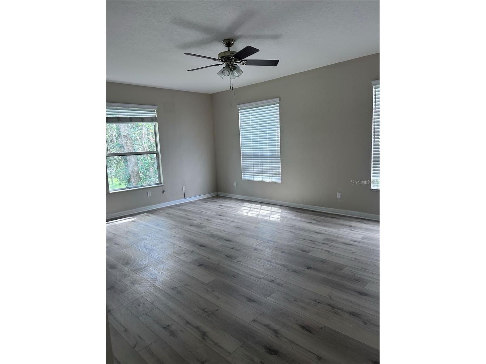 1531 Mccrea Drive Lutz FL 33549 TB8518541 image42