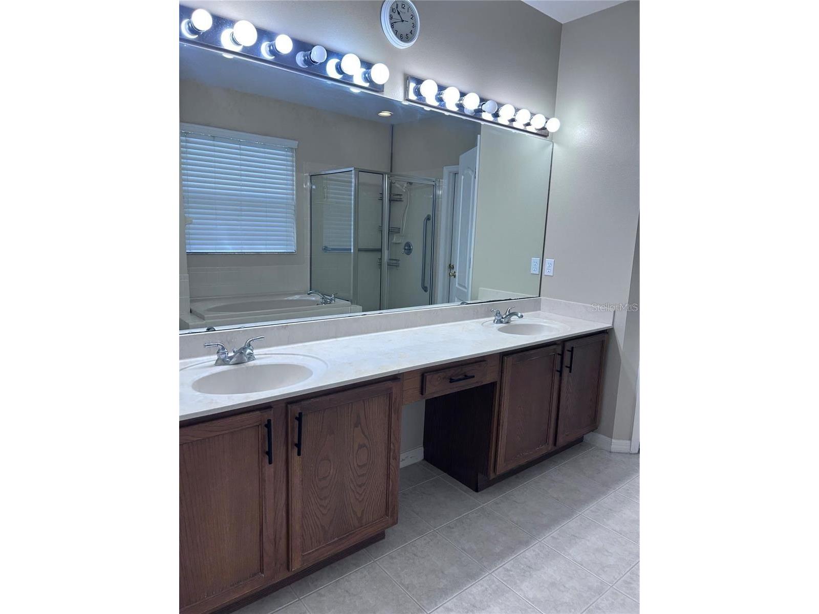 1531 Mccrea Drive Lutz FL 33549 TB8518541 image45