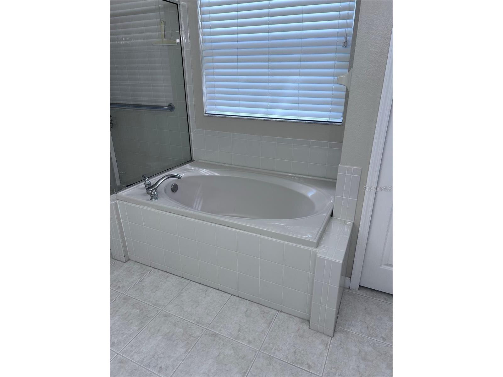 1531 Mccrea Drive Lutz FL 33549 TB8518541 image46