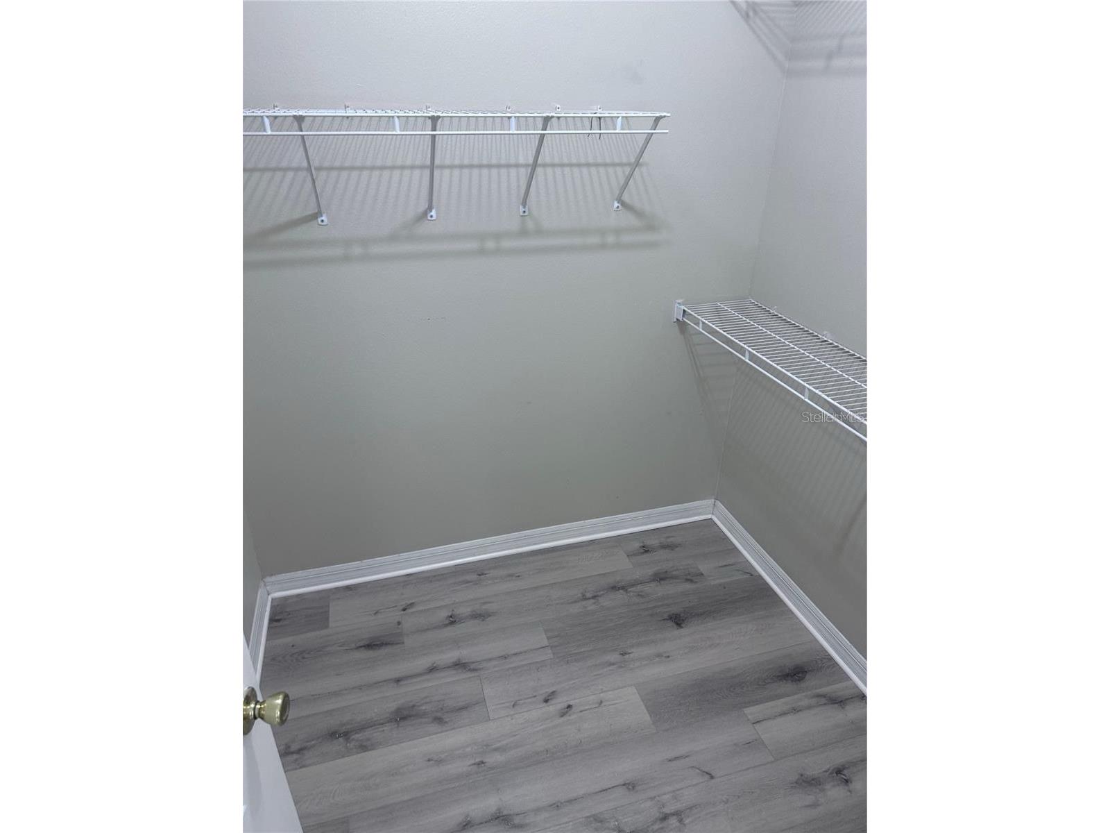 1531 Mccrea Drive Lutz FL 33549 TB8518541 image49