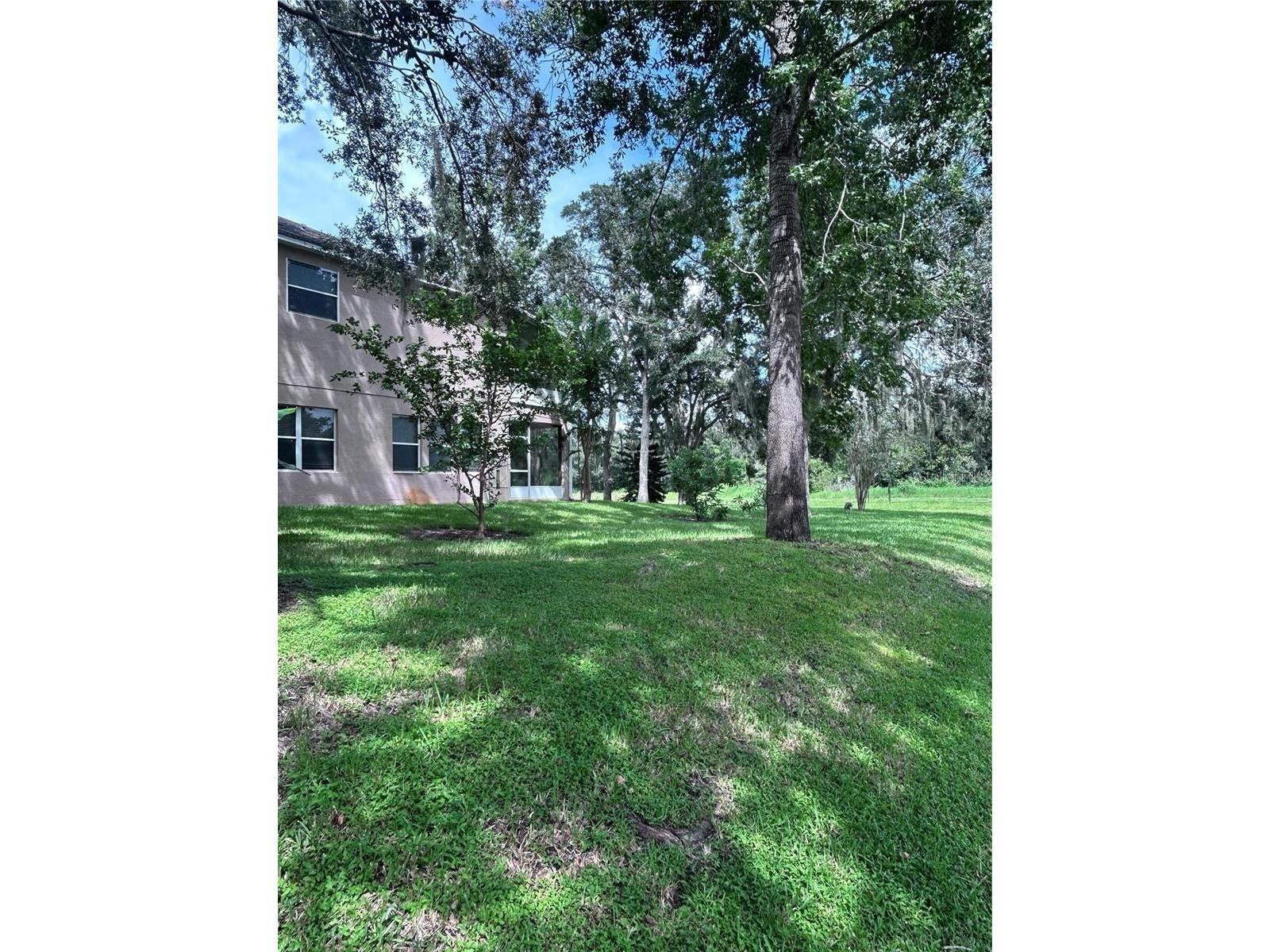 1531 Mccrea Drive Lutz FL 33549 TB8518541 image5
