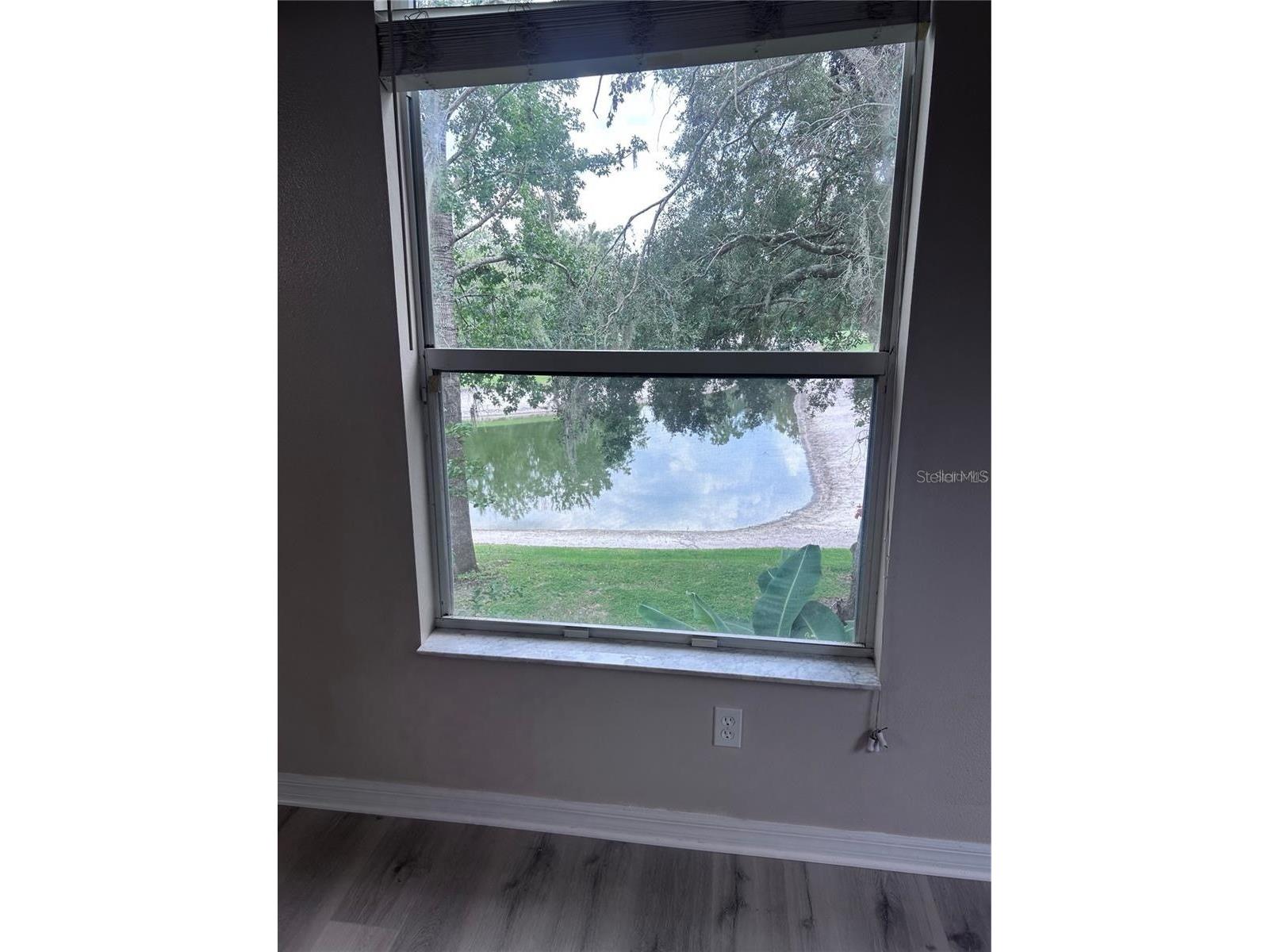1531 Mccrea Drive Lutz FL 33549 TB8518541 image51