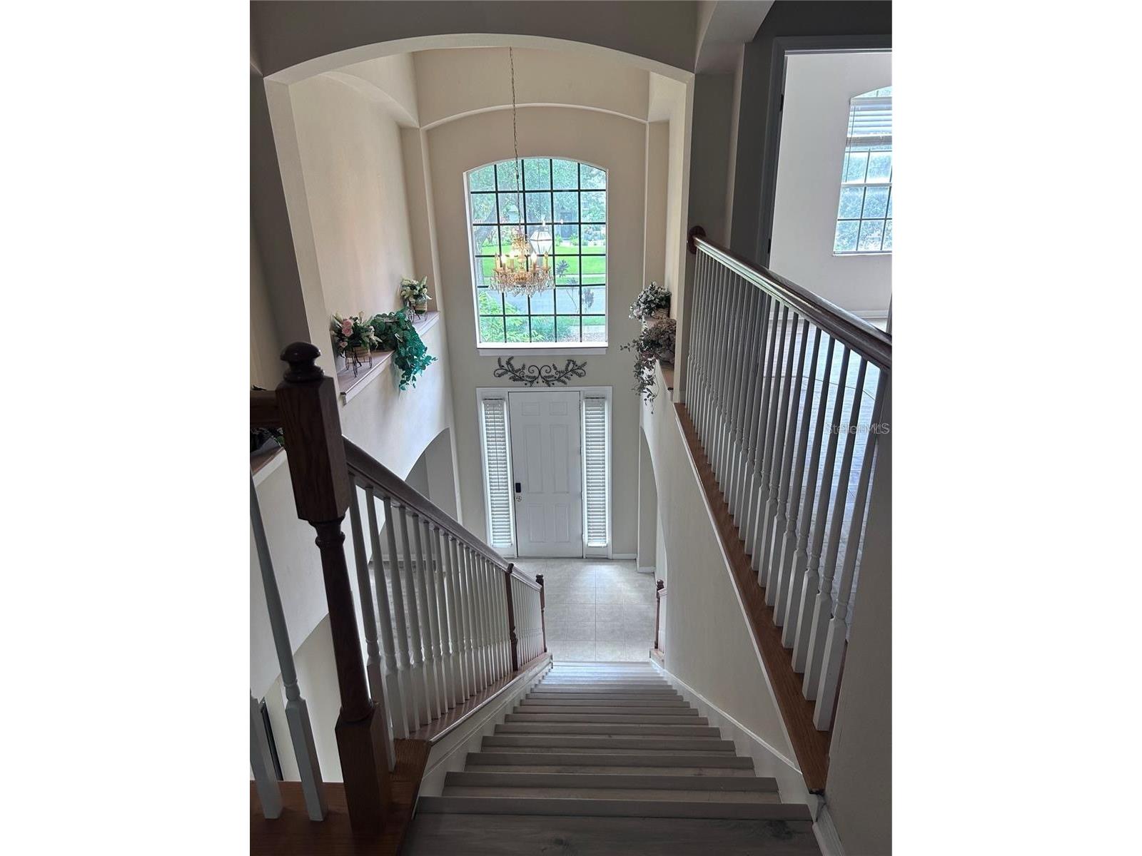 1531 Mccrea Drive Lutz FL 33549 TB8518541 image53