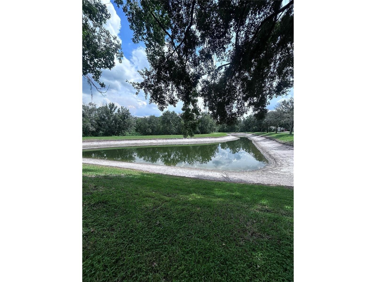 1531 Mccrea Drive Lutz FL 33549 TB8518541 image6