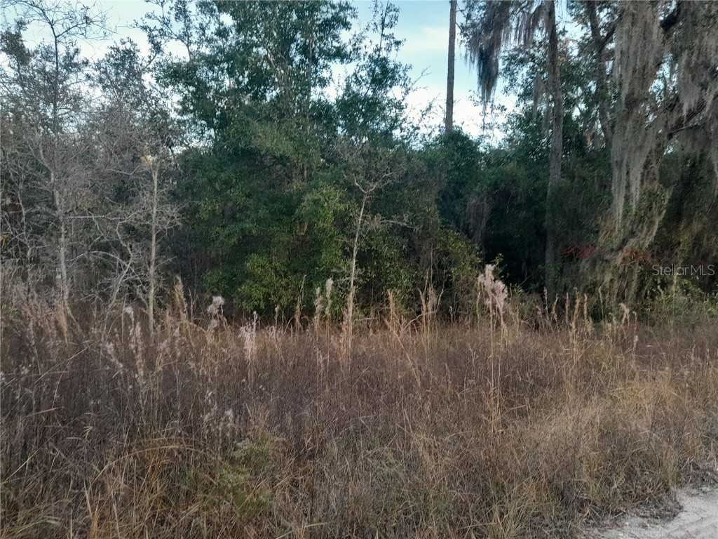 1531 NE 123rd Avenue Williston FL 32696 OM713879 image2