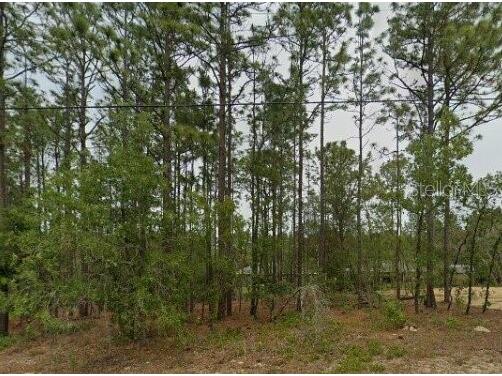 1531 W Gainsboro Lane Citrus Springs FL 34434 O6247939 image1