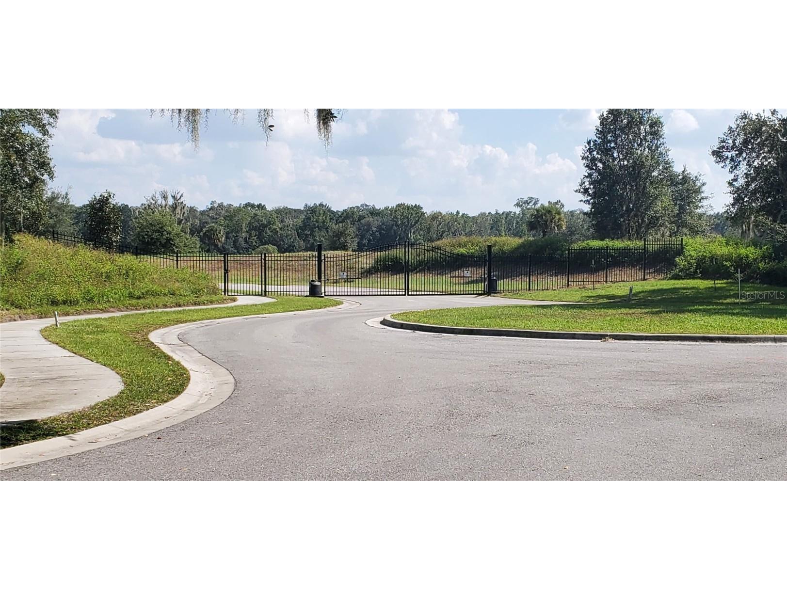 15310 Fishhawk Heights Run Lithia FL 33547 T3309762 image1