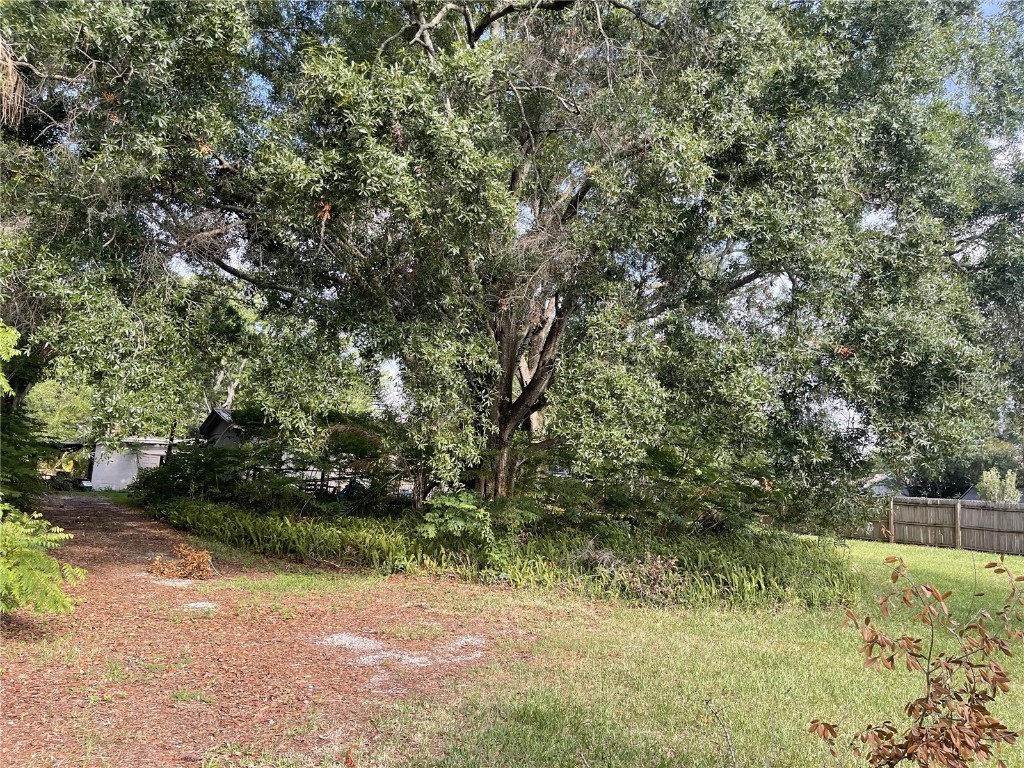 15310 Hutchison Road Tampa FL 33625 U8201713 image1