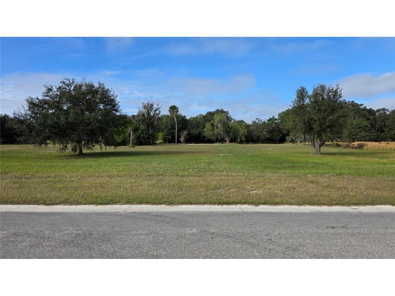 15311 Fishhawk Heights Run Lithia FL 33547 TB8457496 image1