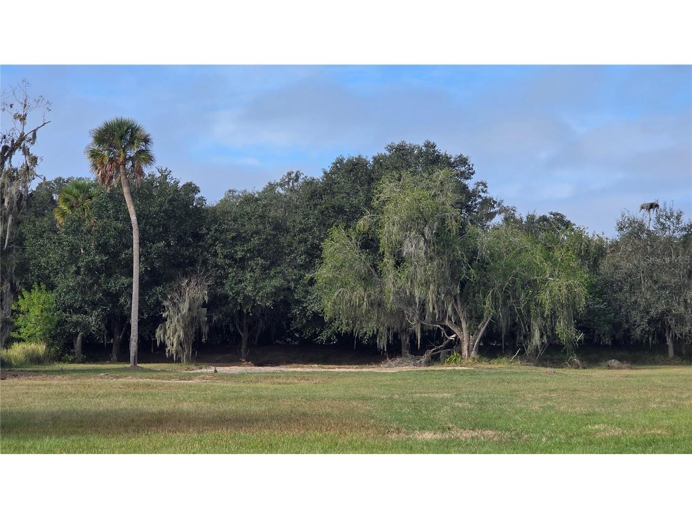 15311 Fishhawk Heights Run Lithia FL 33547 TB8457496 image2