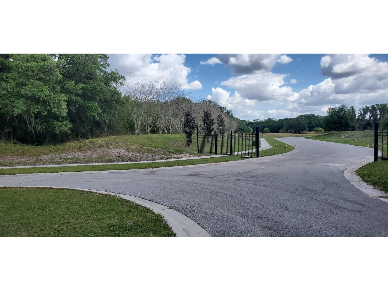 15311 Fishhawk Heights Run Lithia FL 33547 TB8457496 image4