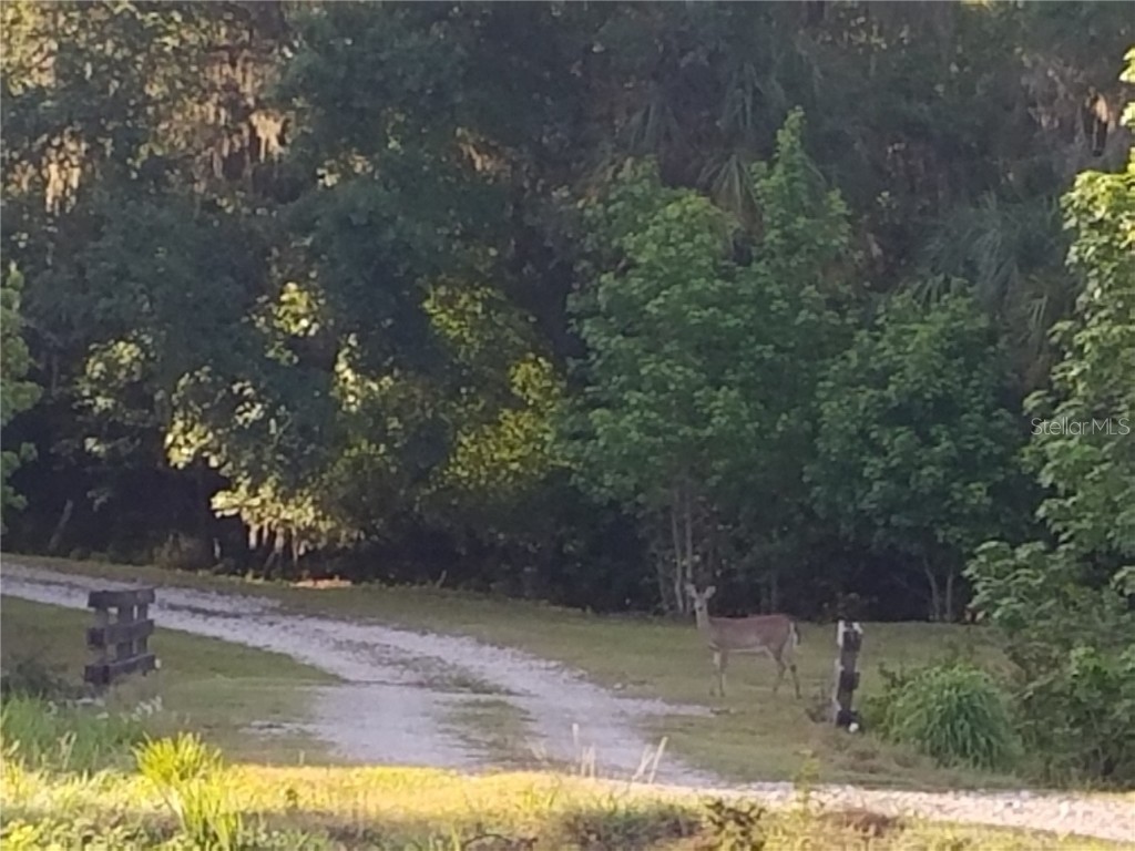 15311 Fishhawk Heights Run Lithia FL 33547 TB8457496 image6