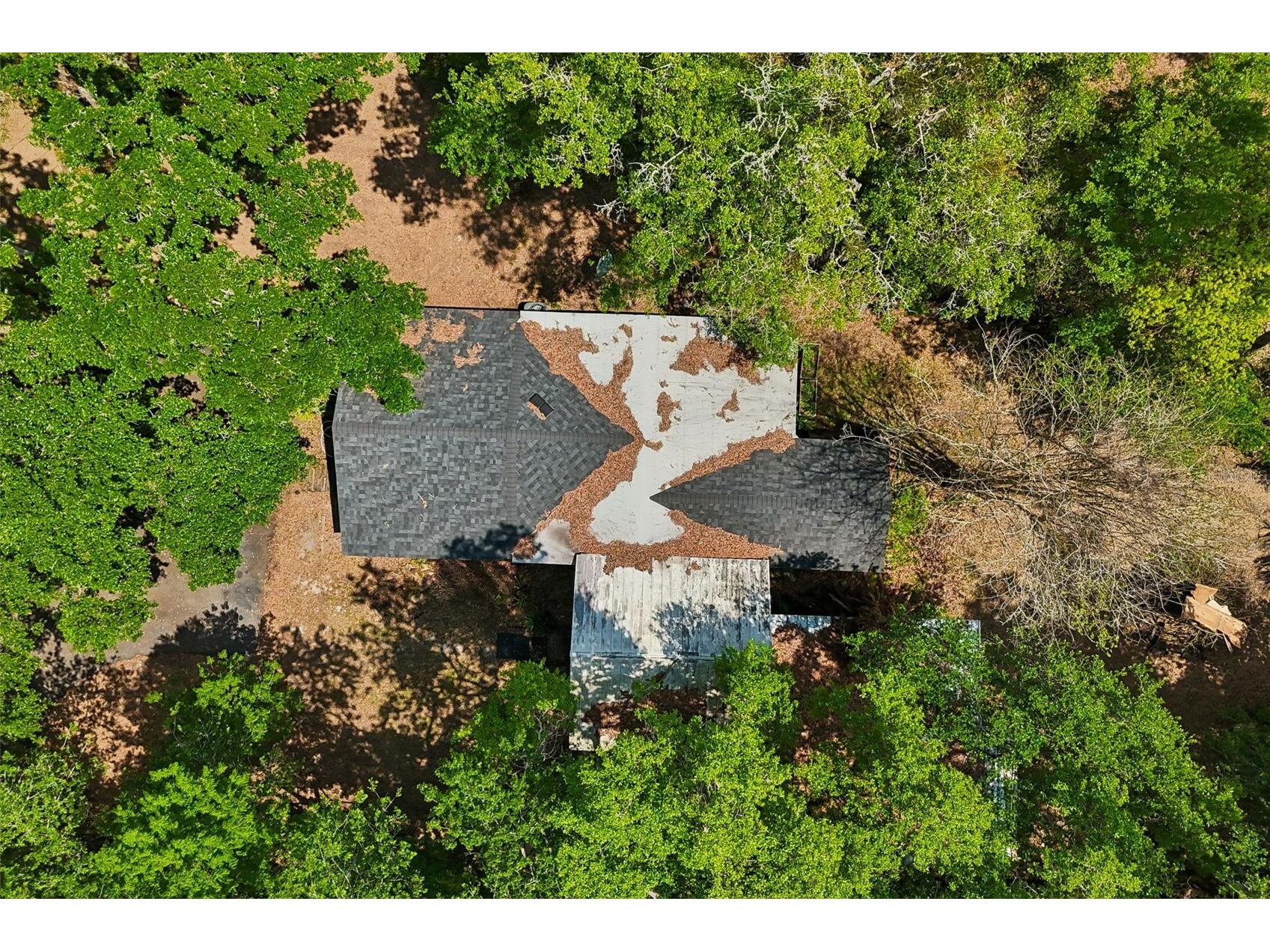 15311 Morris Bridge Road Thonotosassa FL 33592 TB8491540 image53