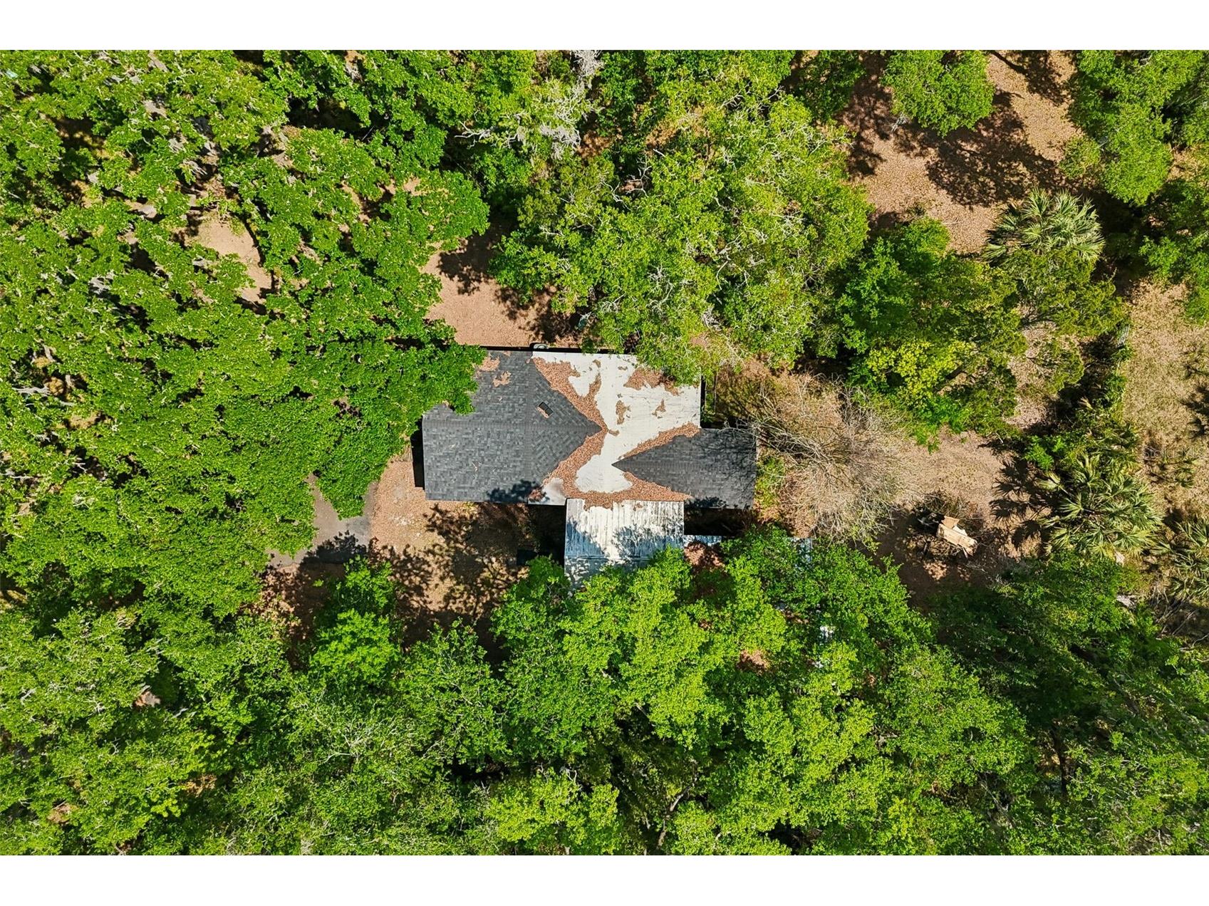 15311 Morris Bridge Road Thonotosassa FL 33592 TB8491540 image54
