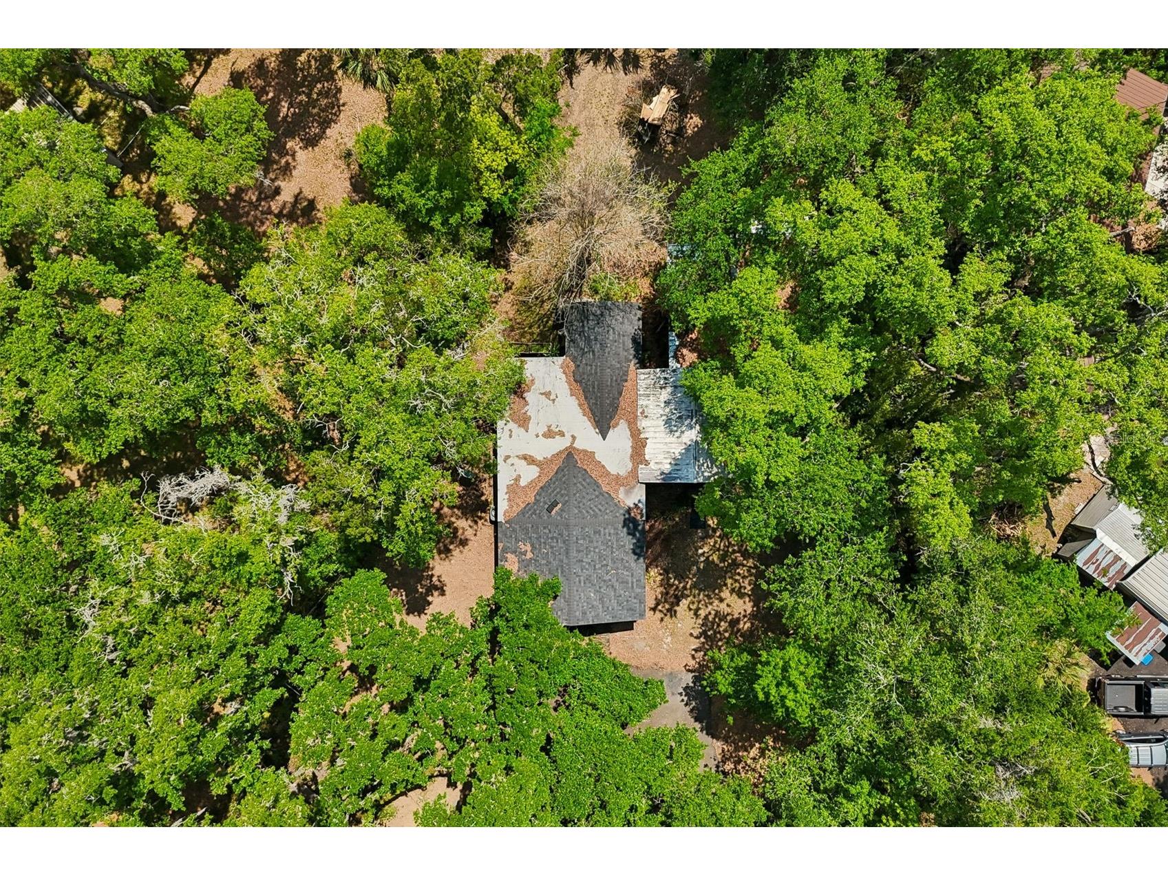 15311 Morris Bridge Road Thonotosassa FL 33592 TB8491540 image55